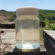 洋槐花蜂蜜液态纯正天然农家自产成熟野生新鲜水白洋槐蜜延安