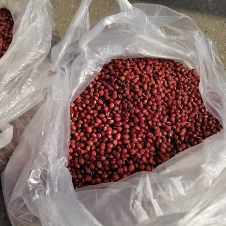 农家自种红小豆