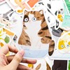猫咪后院创意手绘可爱卡通动物，小清新礼物留言卡片，异形明信片30张