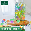 海绵宝宝海洋水晶泥泡大珠，水晶土养花水培吸水精灵水晶珠玻璃弹珠