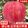 正宗洛川苹果陕西红富士，苹果新鲜水果，当季整箱礼盒不打蜡产地直发