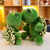 毛绒玩具乌龟公仔可爱大眼龟萌玩偶海龟抱枕送儿童圣诞节生日礼物