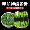 雀舌2024新茶明前特级绿茶湄潭翠芽茶叶春茶炒青