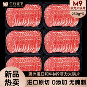 M9雪花菲力火锅片250g*3盒 澳洲雪花牛肉片 肥牛片烧烤