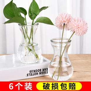 创意简约玻璃花瓶透明水培，绿萝植物花瓶，花盆风信子插花瓶客厅摆件