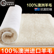 100%进口澳洲羊毛床垫，软垫冬季床褥子加厚单人，冬天保暖羊羔绒垫子
