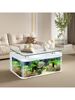 电视柜鱼缸大型生态免换水鱼缸落地玻璃吧水族箱客厅茶几龟缸草缸
