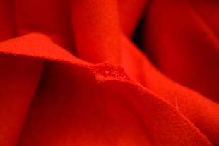 意大利进口橘红色编织双面易揭开(易揭开)羊毛呢面料设计师大衣外套布料