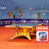 ittf认证双鱼展翅王乒乓球台大赛，室内标准乒乓球桌土豪，金银色(金银色)