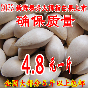 2023新鲜泰兴特级大佛指生白果银杏果（保质量送食谱 ）5斤