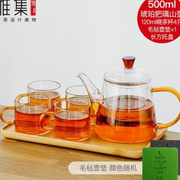 雅集璃山壶单手玻璃过滤茶壶耐热泡茶壶家用办公茶水分离茶具套装