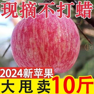 全网陕西苹果脆甜红富士新鲜水果应季丑苹果整箱大果