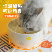 猫咪恒温酸奶饮水机宠物加热饮水器陶瓷碗喝水幼猫喂食狗狗用品