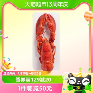 喵满分熟冻波士顿龙虾400-450g只即食大龙虾海鲜水产