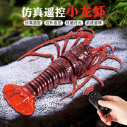 创意遥控小龙虾螳螂发光仿真电子宠物动物模型儿童整蛊搞怪玩具