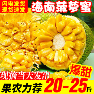 海南三亚黄肉菠萝蜜一整个新鲜孕妇，水果当季木波罗蜜40斤整箱
