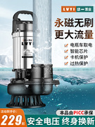 无刷直流潜水泵高扬程(高扬程)48v60v72v家用电动电瓶车抽水泵农用抽水机