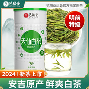 艺福堂茶叶天仙白茶，2024新茶正宗明前特级安吉原产罐装100g绿茶