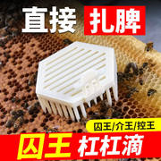 蜜蜂王笼塑料针式囚王笼养蜂工具多功能六角中意蜂防逃介扣关q峰