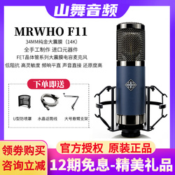 MRWHO F11大震膜电容话筒晶体管系列烟头录音棚麦克风直播