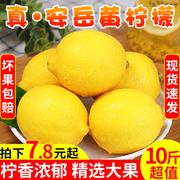 四川安岳黄柠檬(黄柠檬)10斤应当季整箱新鲜皮薄，奶茶店专用现摘柠檬5