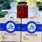野生蜂蜜 绿色食品自产自销 纯天然原生态土蜂蜜罐装500g