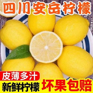 四川安岳柠檬当季新鲜水果泡水奶茶店专用一级果鲜柠檬皮薄