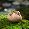 迷你仿真小物品创意可爱乌龟，装饰摆件田园，花盆微景观盆景鱼池动物