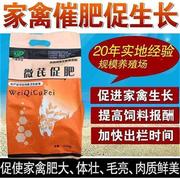 鸡用催肥增重增肥增长素后期促长兽用鸡鸭鹅鸽生长快微芪促肥