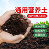 营养土通用型种菜养花专用种花土壤有机花肥多肉家用盆栽种植花土