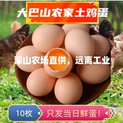 重庆四川土鸡蛋10枚深山农村散养五谷杂粮，虫草天然跑山土鸡蛋新鲜