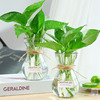 三件套简约玻璃花瓶透明水培植物绿萝观音竹装饰插花瓶小摆件
