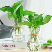 三件套简约玻璃花瓶，透明水培植物，绿萝观音竹装饰插花瓶小摆件