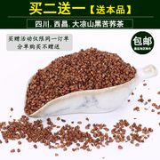 黑苦荞茶四川大凉山荞麦茶，全胚芽养生茶浓香型，西昌荞子茶2送1