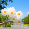 幼儿园装饰手持带杆白色笑脸小雏菊太阳花朵气球儿童生日装饰布置