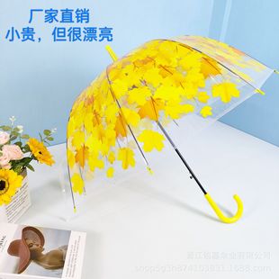 高颜值枫叶透明雨伞小清新长柄阿波罗拱形，公主樱花透明伞