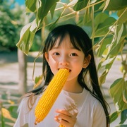 新山西(新山西)忻州大容量8根装新鲜黄糯玉米真空装现摘即食玉米开学家用