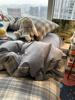 ins灰色格子条纹简约床上四件套全棉纯棉1.5m1.8米被套床单水洗棉