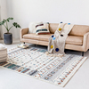 比利时进口美式客厅地毯现代简约沙发，茶几卧室床边毯家用地垫