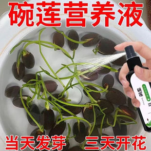 碗莲专用营养液睡莲肥料通用水溶肥水培种子，发芽生根促开花防黄叶