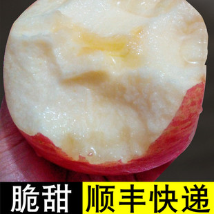 正宗无蜡山东烟台栖霞红富士苹果新鲜孕妇吃的水果脆甜整箱
