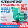 直流自吸泵12V24V抽水机48V60V电动车抽水泵家用灌溉大流量电瓶泵