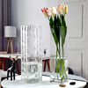 轻奢落地玻璃花瓶大号特大透明富贵竹，插花百合花水养客厅现代简约