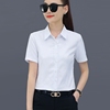 白色衬衫女短袖2024夏季修身气质，纯色衬衣翻领ol职业装工作服