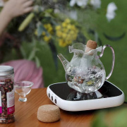 宜室茶话耐高温花口泡茶壶围炉，煮茶带滤网玻璃茶具功夫茶具茶壶