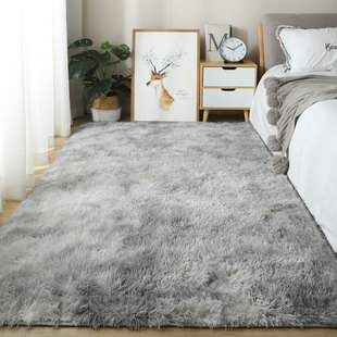 长毛绒地毯卧室床边毯家用北欧ins风客厅茶几满铺房间长方形地垫