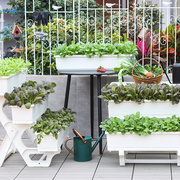 特大号花盆家用塑料种菜专用箱花箱长方形N多层花架阳台菜架