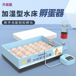 小鸡孵化器小型家用迷你孵化机全自动智能小鸟蛋，水床恒温孵蛋器