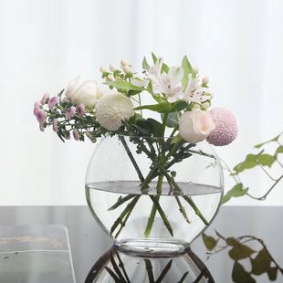 创意扁口金鱼缸(金鱼缸)水晶，花瓶水养现代简约透明玻璃，绿萝花器装饰摆件