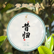 云南普洱茶生茶饼，2022年昔归早春茶200g饼茶，生普洱饼茶